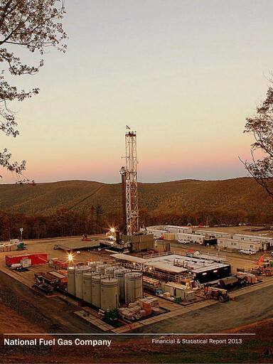 Thumbnail National Fuel Gas
 Financial Report 2013