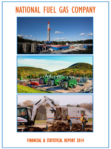 Thumbnail National Fuel Gas
 Financial Report 2014