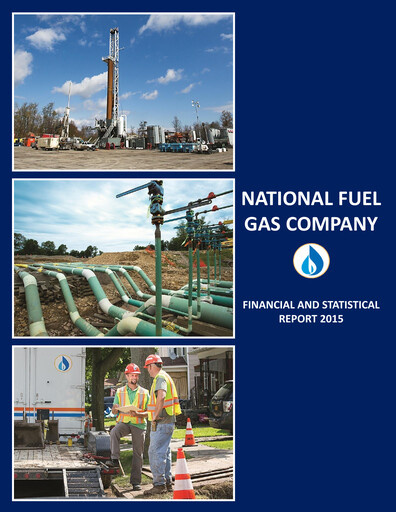 Thumbnail National Fuel Gas
 Financial Report 2015