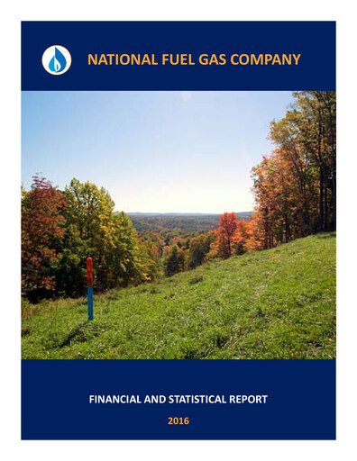 Thumbnail National Fuel Gas
 Financial Report 2016