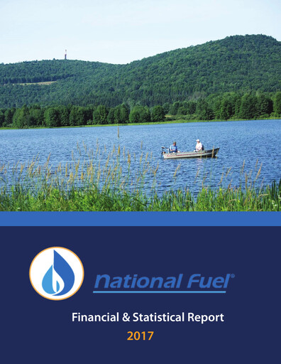 Thumbnail National Fuel Gas
 Financial Report 2017