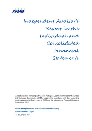 Thumbnail Americanas Financial Statement 2017