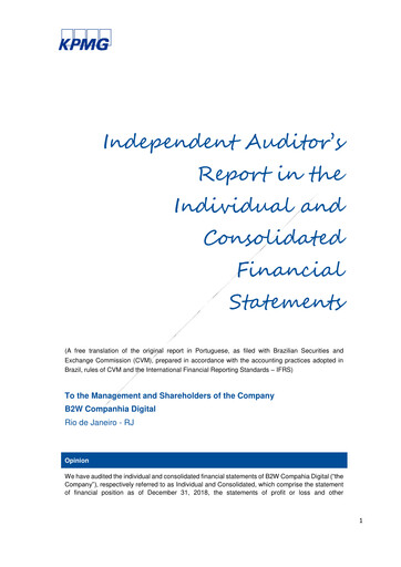 Thumbnail Americanas Financial Statement 2018