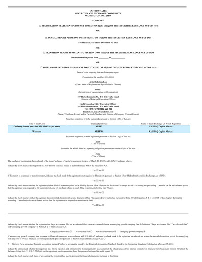 Vorschaubild Arbe Robotics Jahresbericht 2021