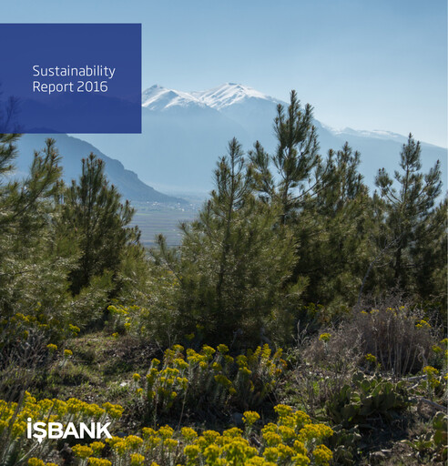 Thumbnail Türkiye Is Bankasi Sustainability Report 2016
