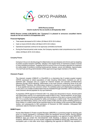 Miniature OKYO Pharma Rapport semestriel 2019-h1