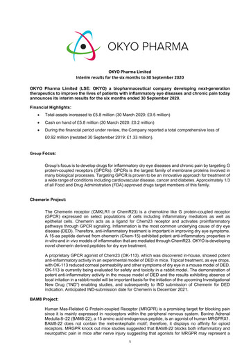 Miniature OKYO Pharma Rapport semestriel 2020-h1