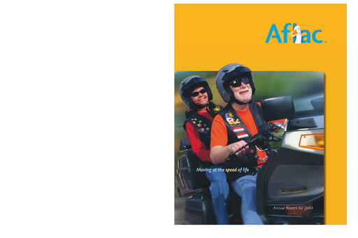 Vorschaubild Aflac Jahresbericht 2004