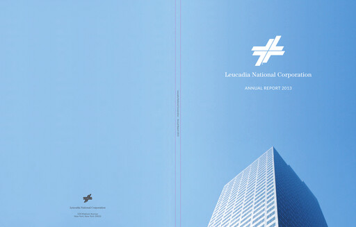 Vorschaubild Jefferies Financial Group
 Jahresbericht 2013
