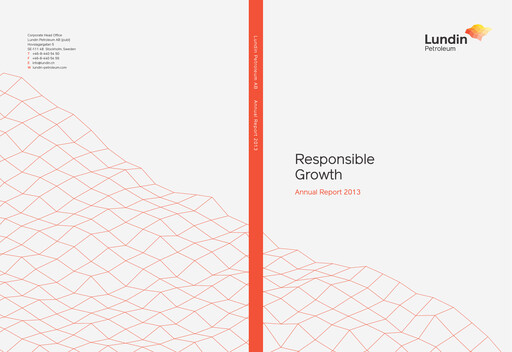 Thumbnail Orrön Energy Annual Report 2013