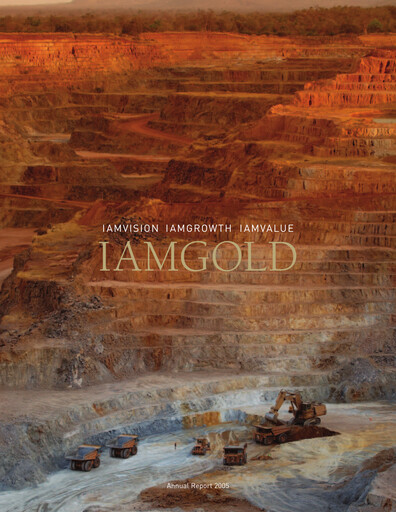 Miniature Iamgold
 Rapport annuel 2005