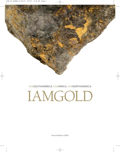 Miniature Iamgold
 Rapport annuel 2006
