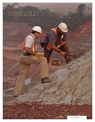 Miniature Iamgold
 Rapport annuel 2007