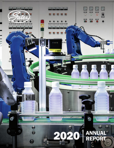 Miniature Gates Industrial Corp Rapport annuel 2020