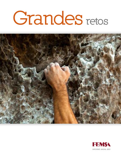 Thumbnail Fomento Económico Mexicano (FEMSA) Annual Report 2013