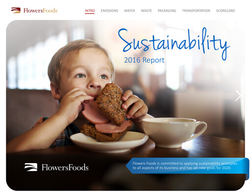 Thumbnail Flowers Foods
 Sustainability Report 2016