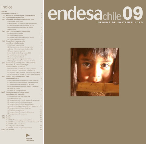 Thumbnail Enel Américas
 Sustainability Report 2009