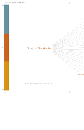 Miniature Curtiss-Wright
 Rapport annuel 2001