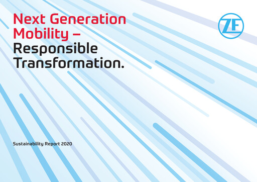 Miniature ZF Commercial Vehicle Control Systems India Rapport de durabilité 2020