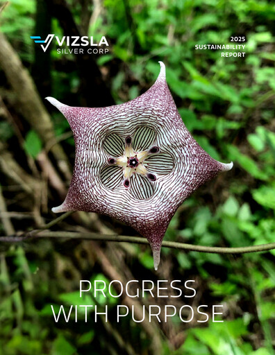 Thumbnail Vizsla Silver Sustainability Report 2025