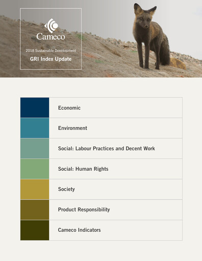 Thumbnail Cameco
 Sustainability Report 2018