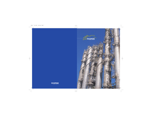 Thumbnail Braskem Annual Report 1999