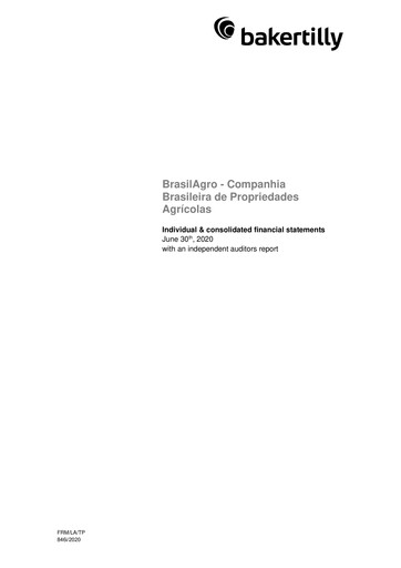 Thumbnail Brasil Agro Financial Statement fy2020
