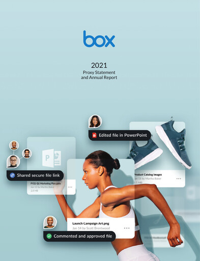 Thumbnail Box, Inc. Annual Report 2021