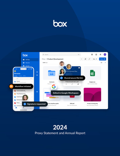 Thumbnail Box, Inc. Annual Report 2024