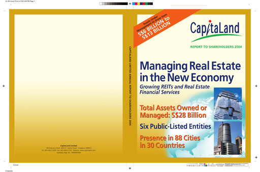 Thumbnail CapitaLand Investment Limited Annual Report 2004