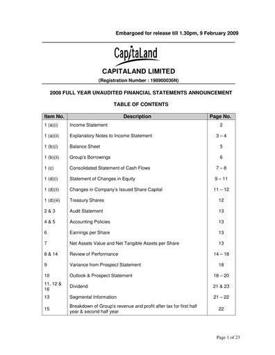 Thumbnail CapitaLand Investment Limited Financial Statement 2008