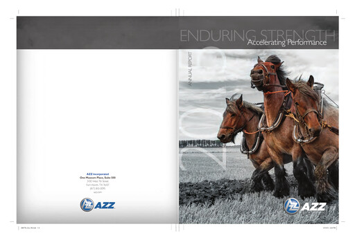 Thumbnail AZZ Annual Report 2014-2015