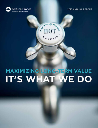 Thumbnail Fortune Brands Innovations Annual Report 2016