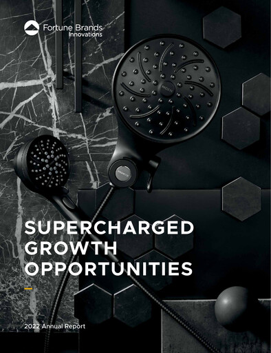 Thumbnail Fortune Brands Innovations Annual Report 2022