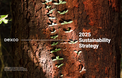 Thumbnail Dexco Sustainability Report 2025