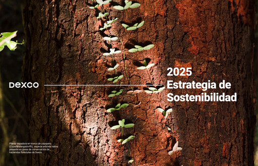 Thumbnail Dexco Sustainability Report 2025