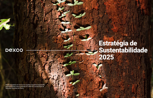 Thumbnail Dexco Sustainability Report 2025