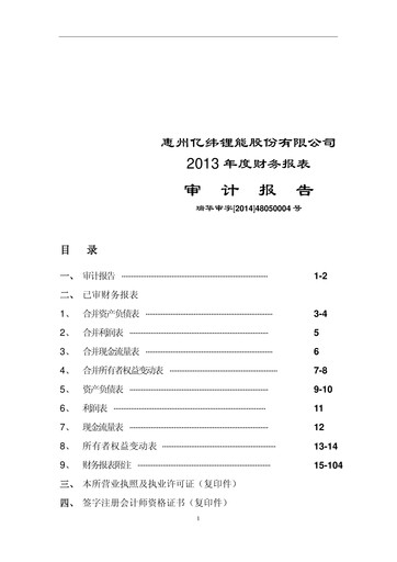 Thumbnail EVE Energy Financial Statement 2013