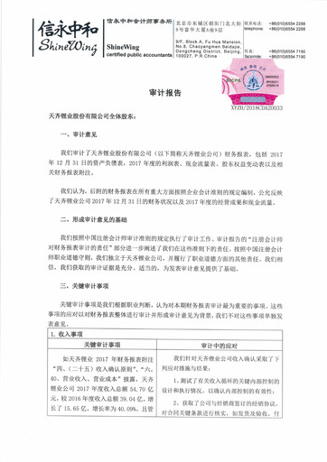 Thumbnail Tianqi Lithium Financial Statement 2017