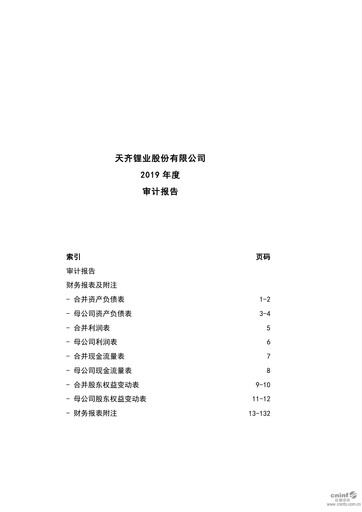 Thumbnail Tianqi Lithium Financial Statement 2019