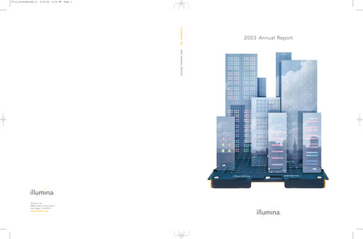 Miniature illumin Rapport annuel 2003