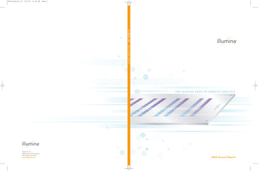 Miniature illumin Rapport annuel 2004