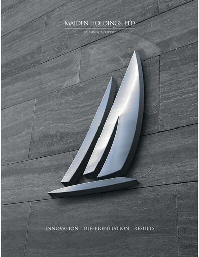 Thumbnail Fidelis Insurance Annual Report 2015