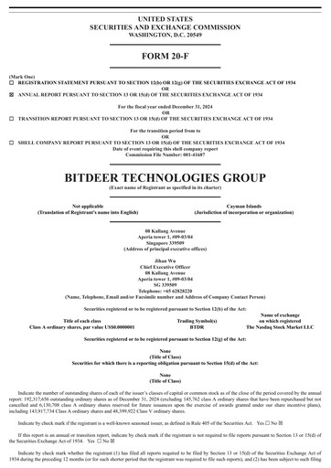 Thumbnail Bitdeer Technologies Group Annual Report 2024