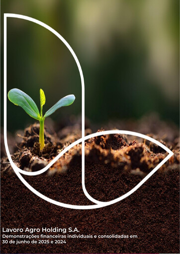 Thumbnail Lavoro Financial Statement 2025