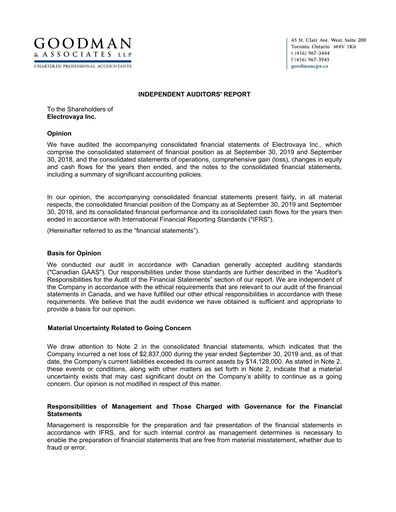 Thumbnail Electrovaya Financial Statement fy2019