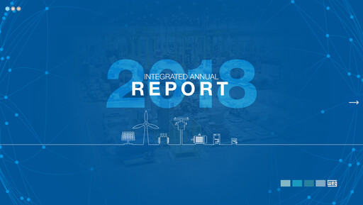 Thumbnail WEG ON Annual Report 2018