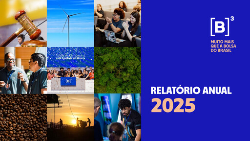 Thumbnail B3 Annual Report 2025