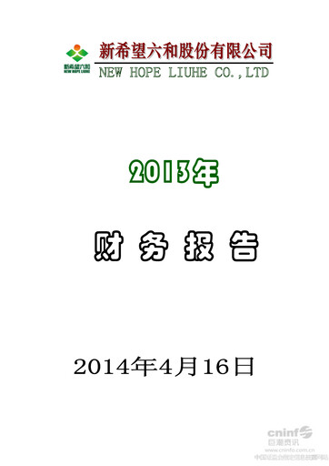 Thumbnail New Hope Liuhe Financial Statement 2013