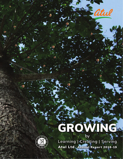 Miniature Atul Rapport annuel 2018-2019